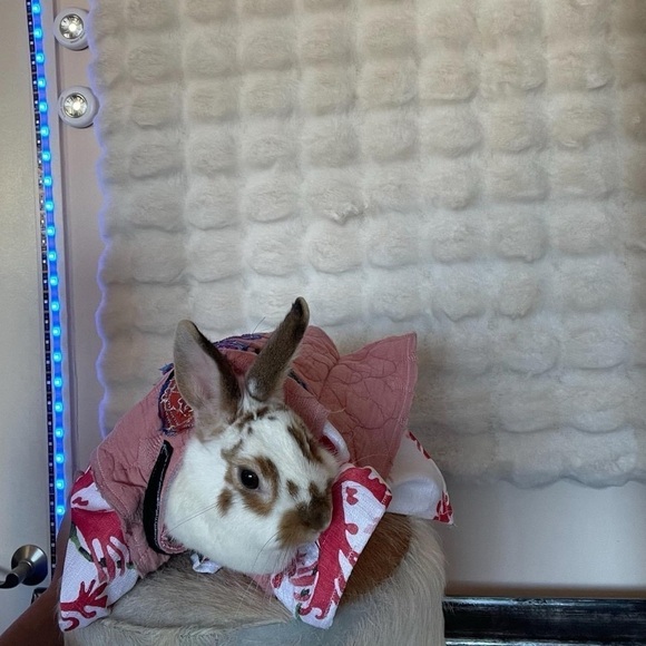 HANDCRAFTED pet of doll kimono polyester and cotton blend NWT - Picture 3 of 13